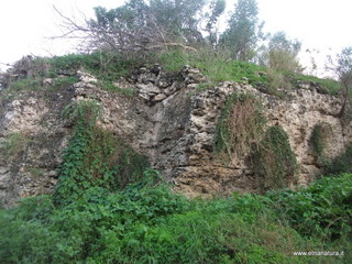 stellaccio20-11-2016 15-48-48